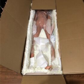 dewatermark_1766654991688-280x280